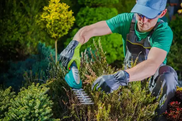 landscaping services Golden City